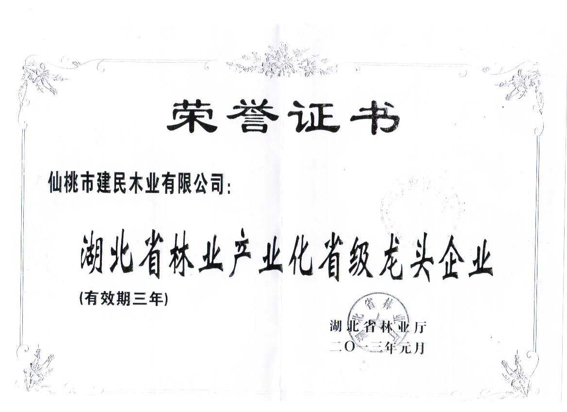 Honorary certificate